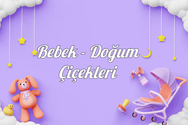 Bebek ve Doğum Çiçekleri Kategorisi
