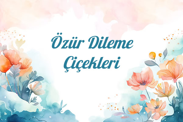 Özür Dileme Çiçekleri Kategorisi