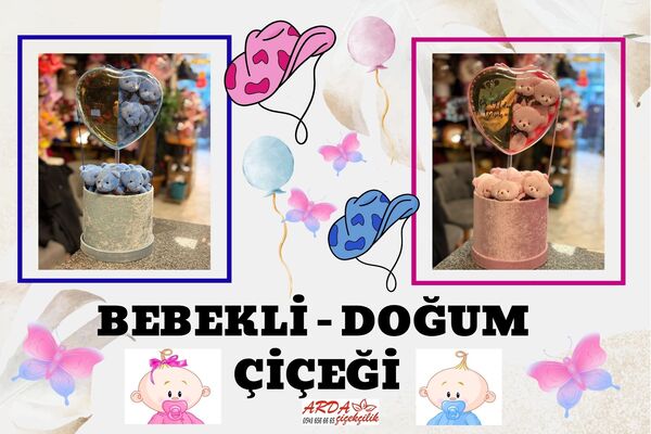 Bebek ve Doğum Çiçekleri Kategorisi