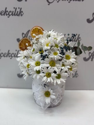Seramikte Beyaz Papatyalar