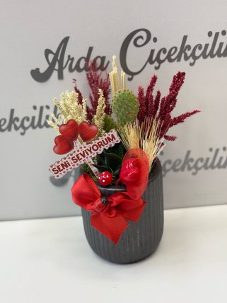 SEVGİ DOLU SUKULENT ARAJMAN