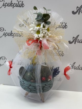 AYAKLI SUKULENT ARAJMAN