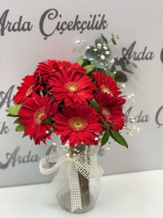Vazoda Kırmızı Gerberalar