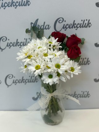 Vazoda Papatyalar ve 3 Gül